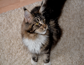 DSC_0258