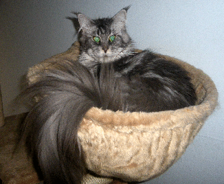 IMGP0028