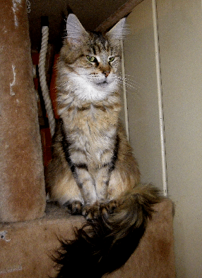 IMGP0055