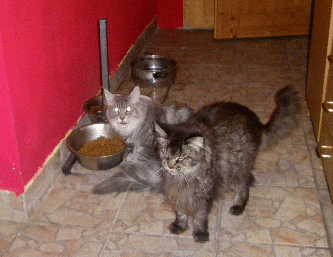 IMGP0224