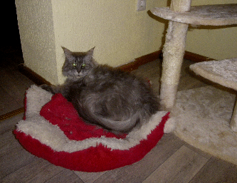 IMGP0228