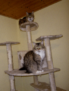 IMGP0229
