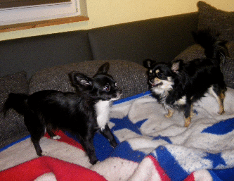 IMGP0231