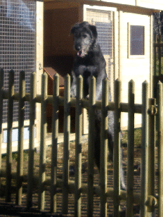 IMGP0239