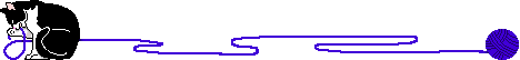 catnyarn