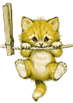 image1056