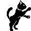 katze_0007