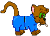 katze_0032