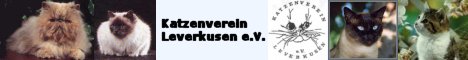 kvl_banner
